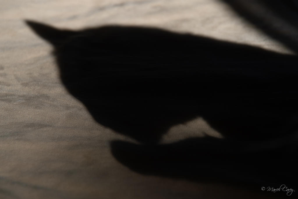 DSC_6140.jpg