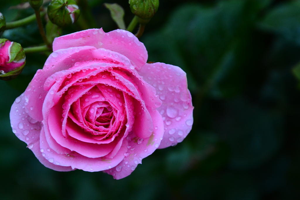 DSC_6143.jpg