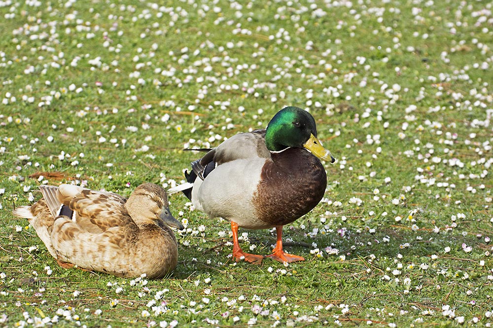 DSC_6143.jpg