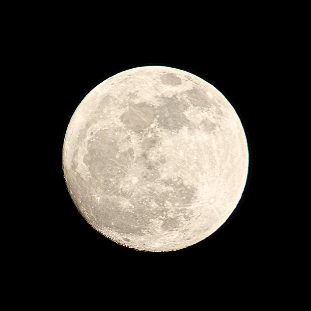 DSC_6143.jpg
