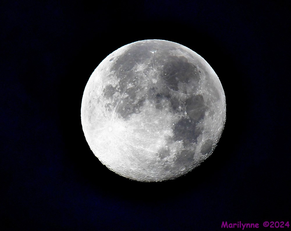 DSC_6143_001.JPG