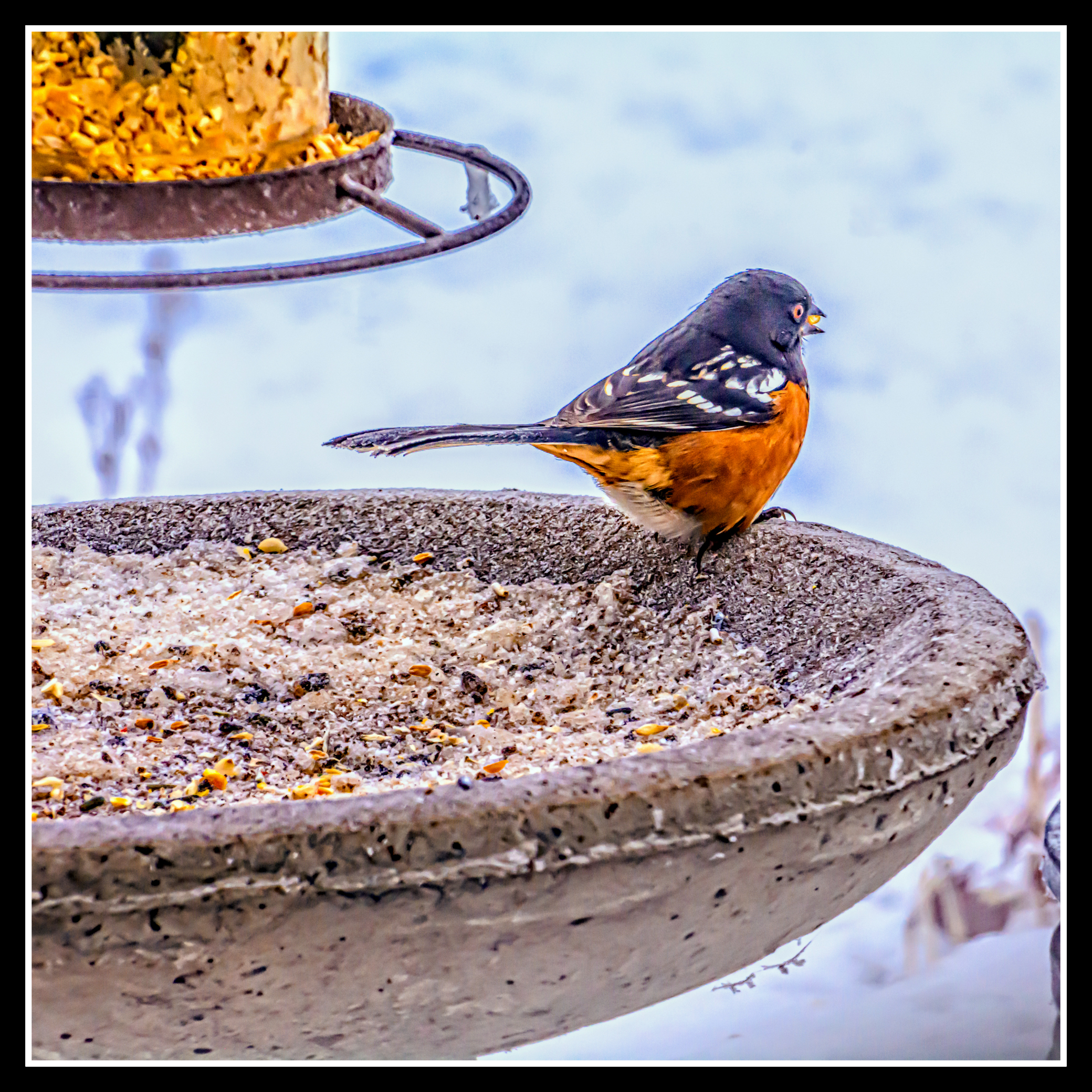 DSC_6144-Edit.JPG