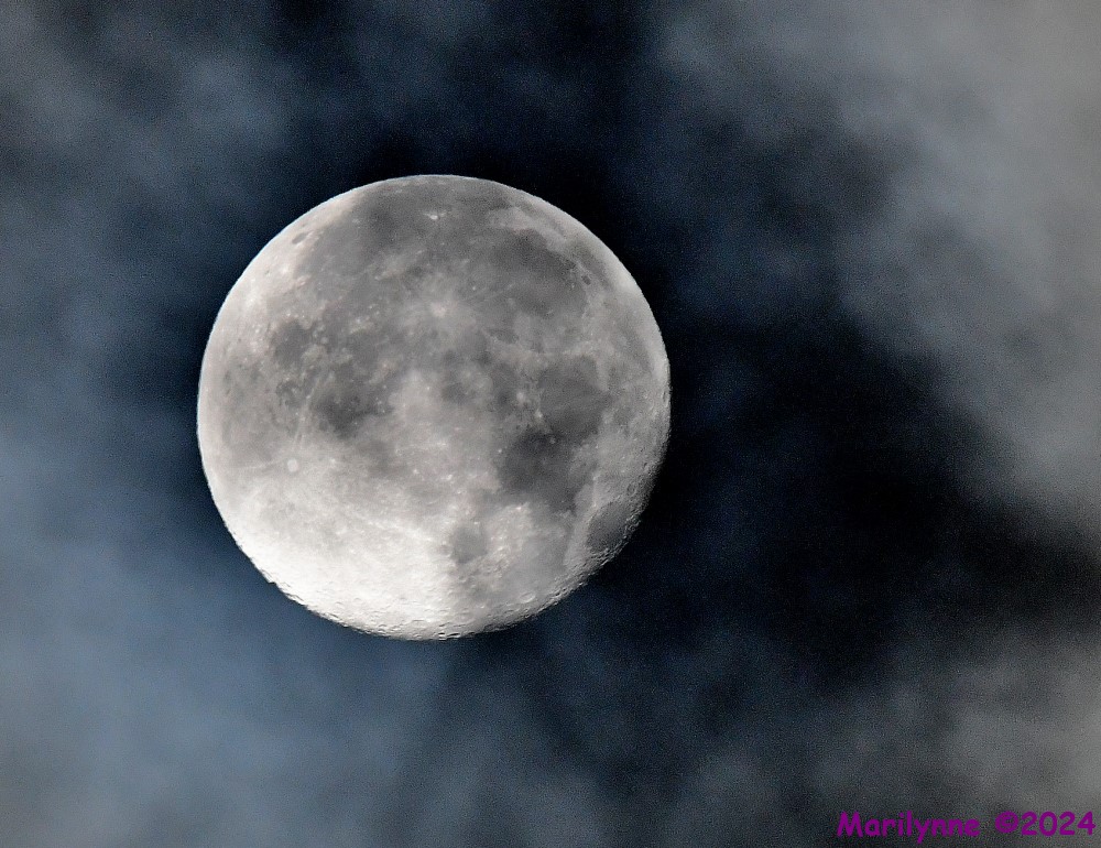 DSC_6146_001.JPG
