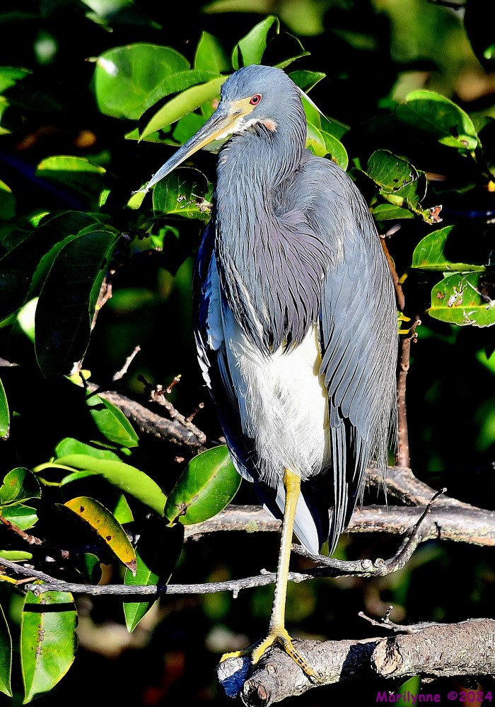 DSC_6146_001.JPG