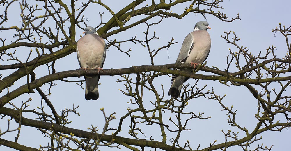 DSC_6147.jpg