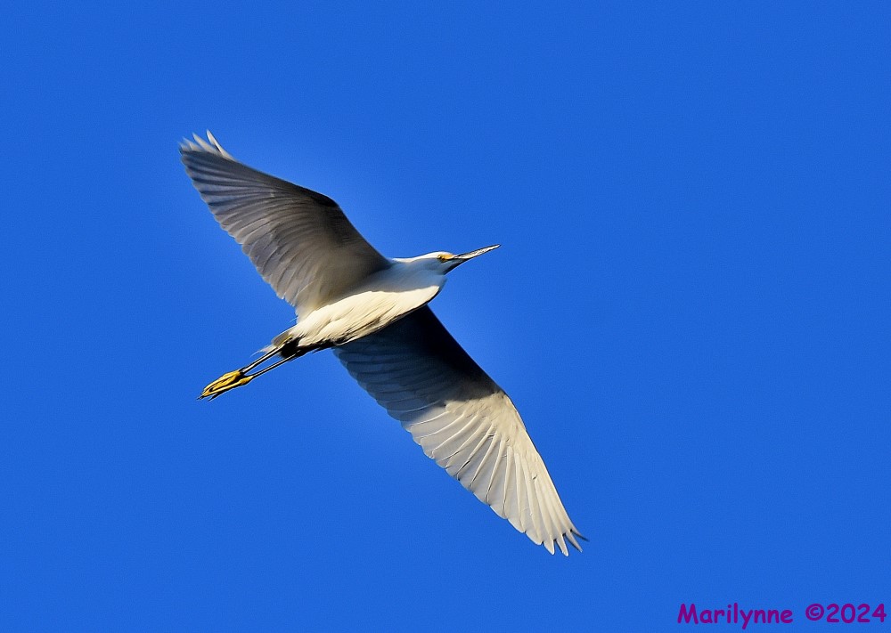 DSC_6149_001.JPG