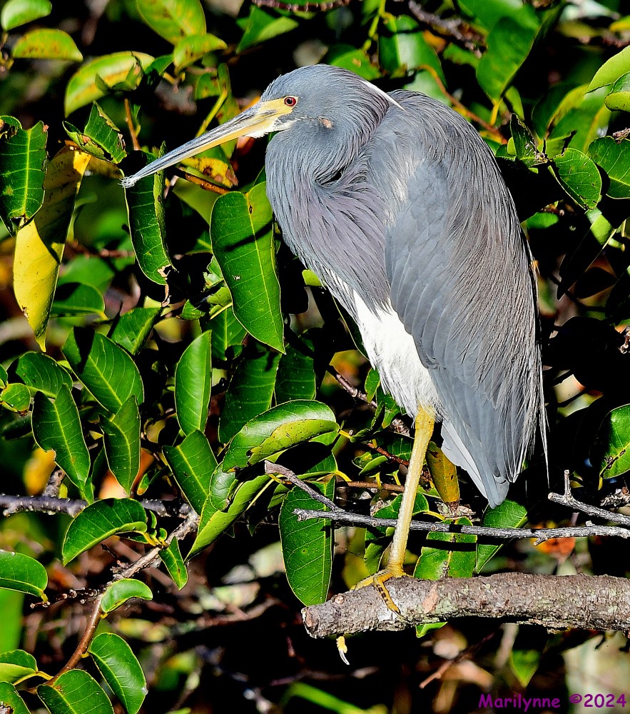 DSC_6149_001.JPG