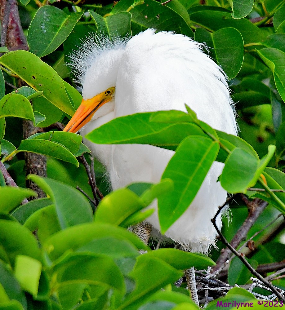 DSC_6150_001.JPG