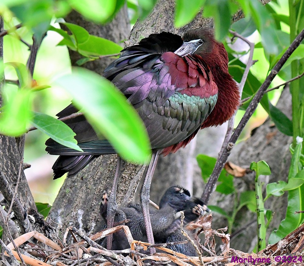 DSC_6150_001.JPG