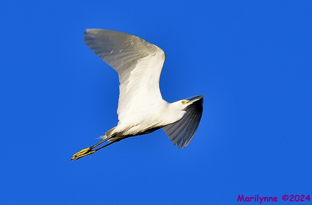 DSC_6151_001.JPG