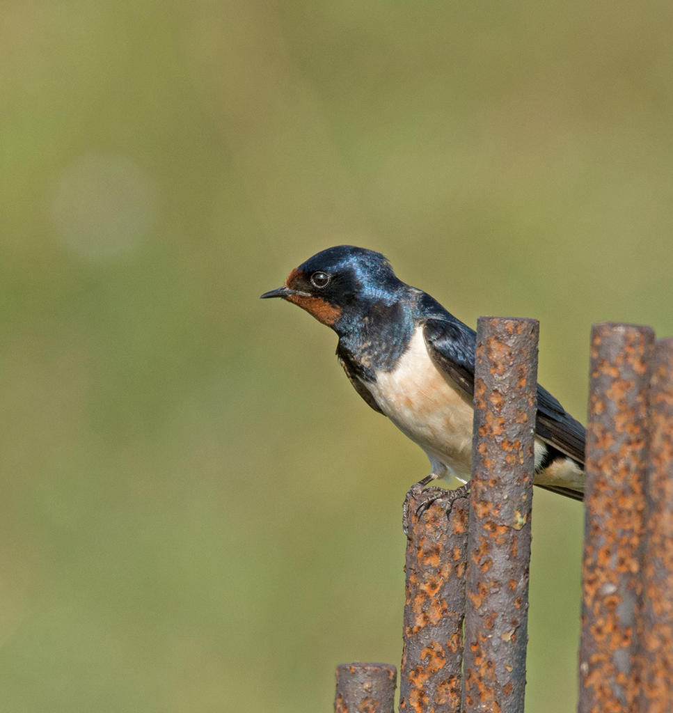 DSC_6157.jpg