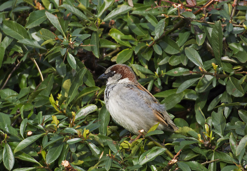 DSC_6157.jpg