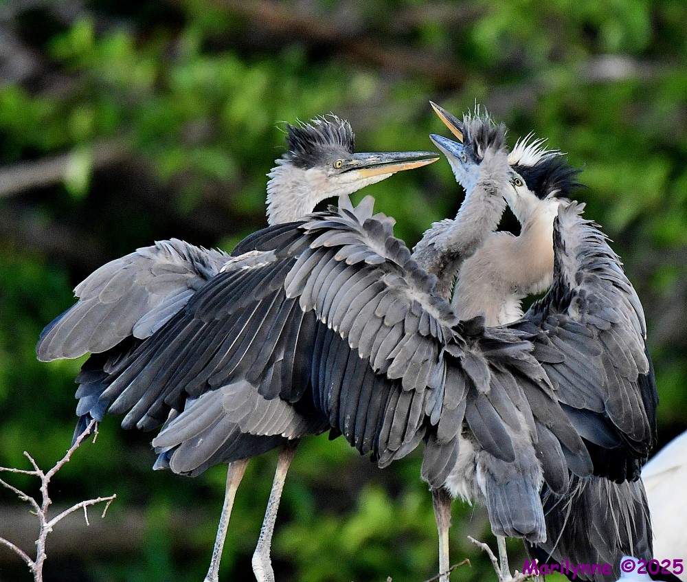DSC_6157_001.JPG