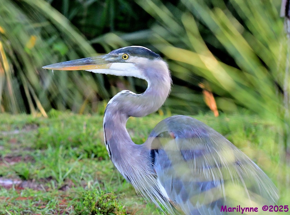 DSC_6161_001.JPG