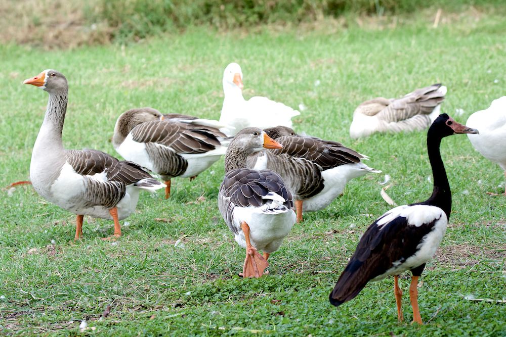 DSC_6162.jpg