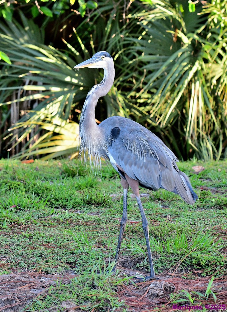 DSC_6162_stitch3_001.JPG
