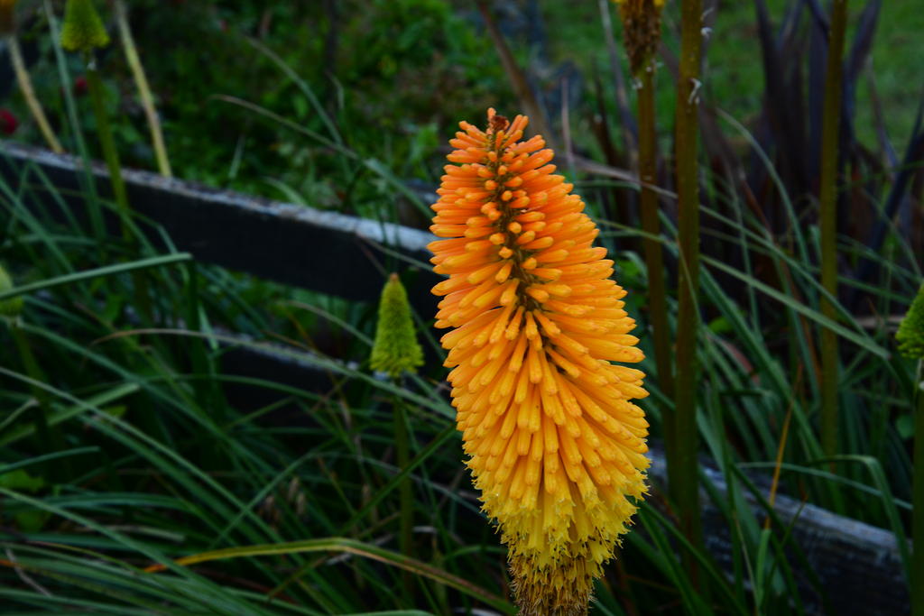 DSC_6163.jpg