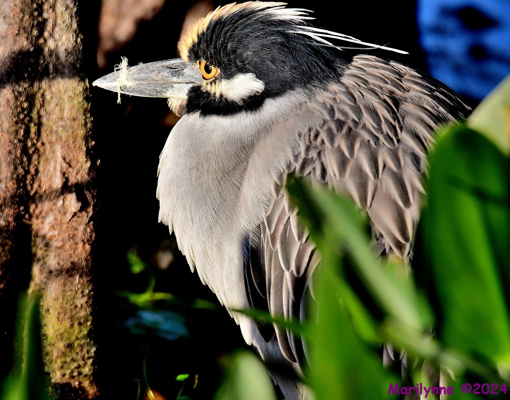 DSC_6163_001.JPG