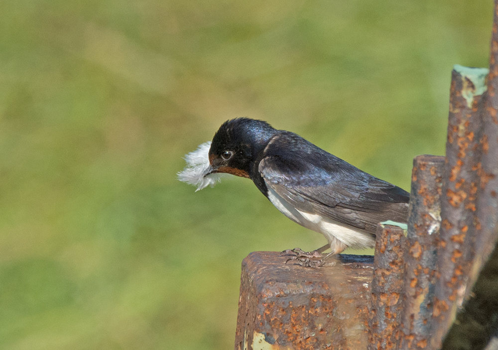 DSC_6165.jpg