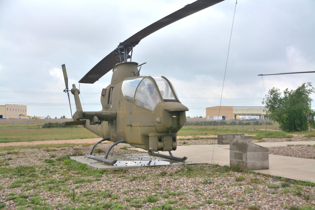 DSC_6168.jpg