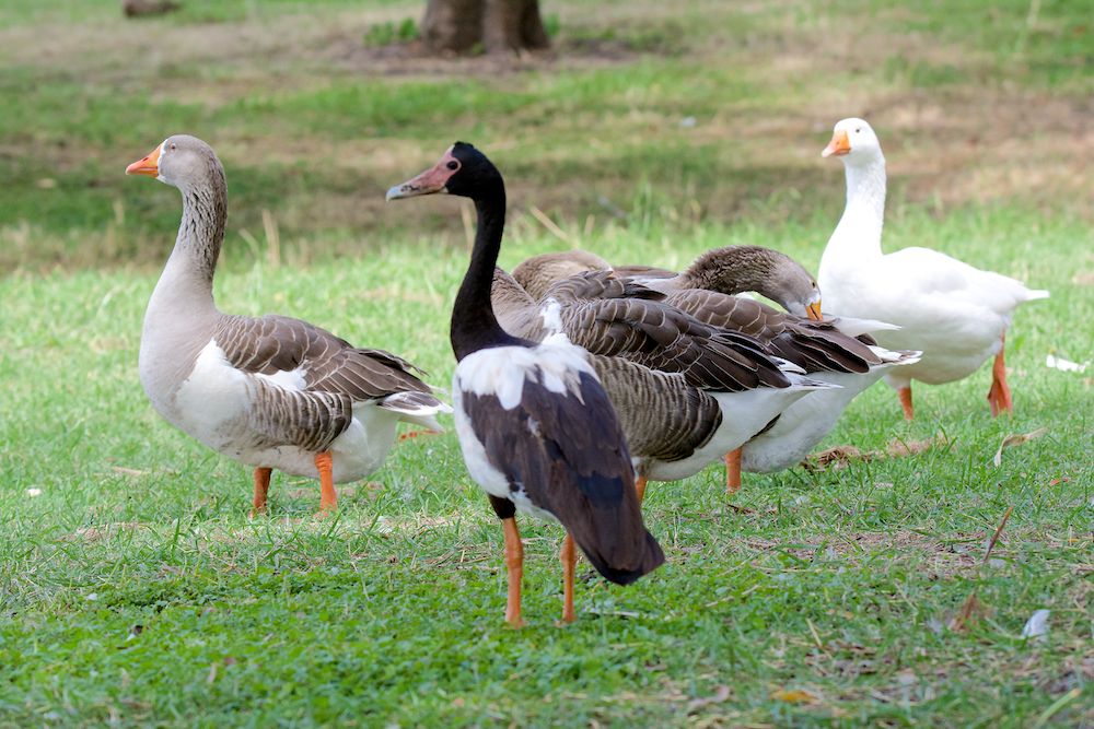 DSC_6170.jpg