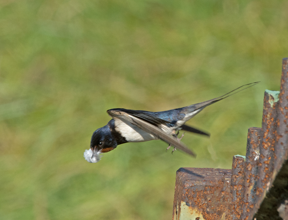 DSC_6171.jpg