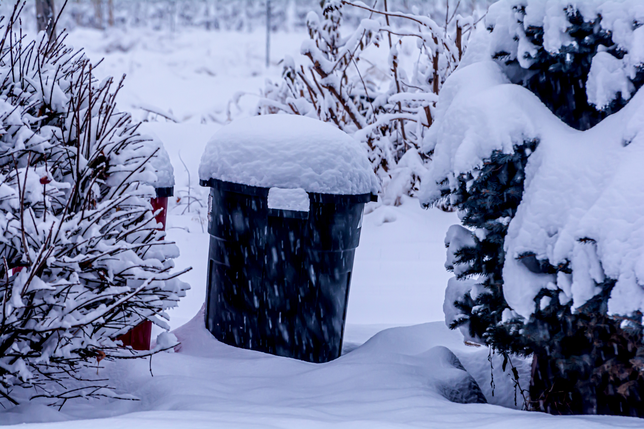DSC_6171.JPG