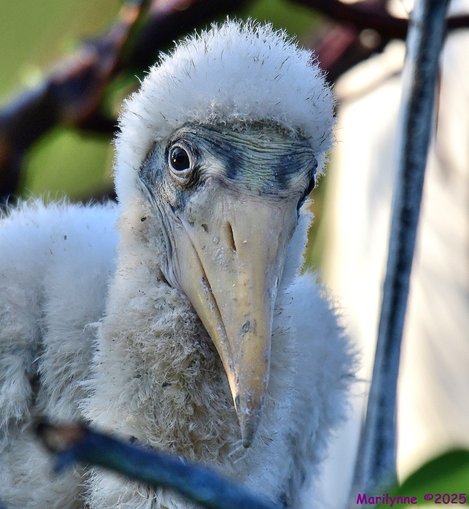 DSC_6171_001.JPG