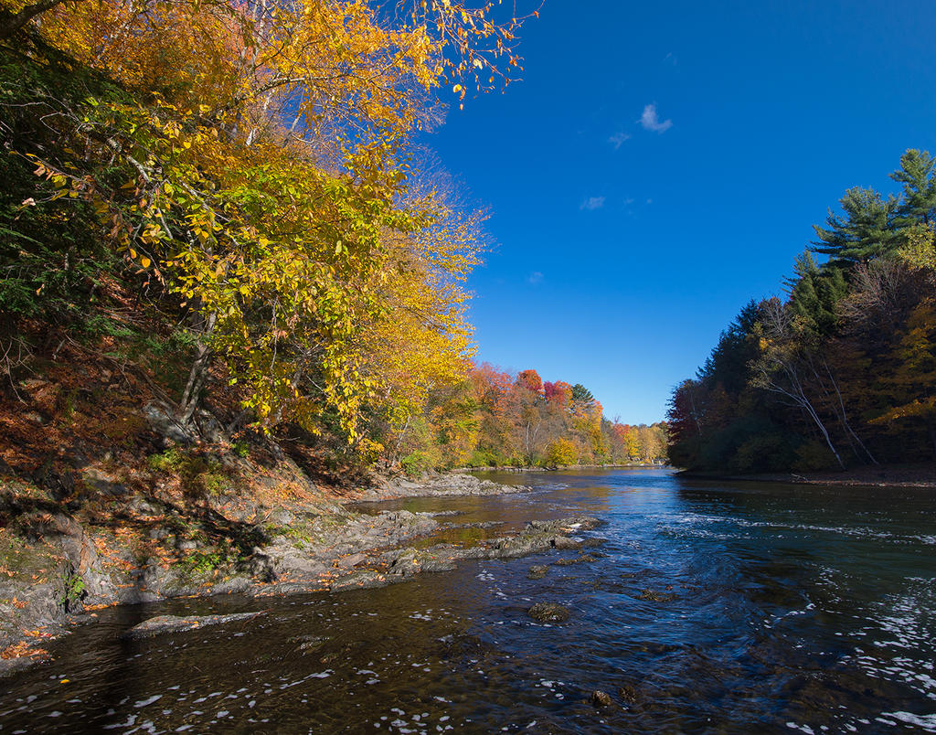 DSC_6172.jpg