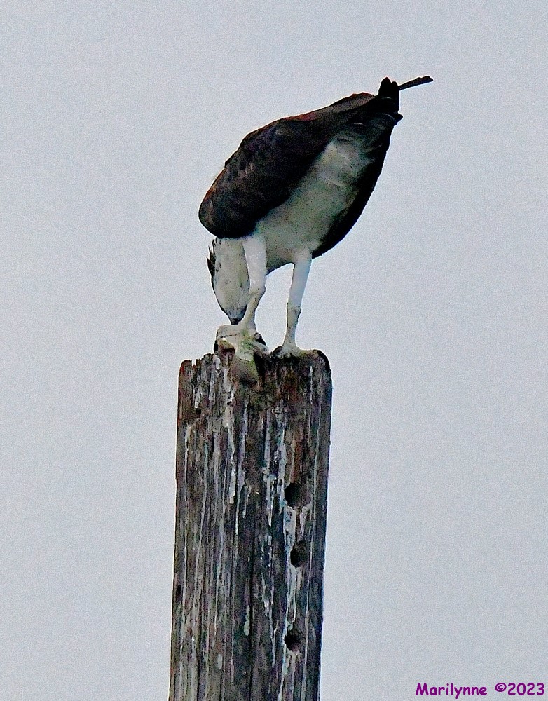 DSC_6172_001.JPG