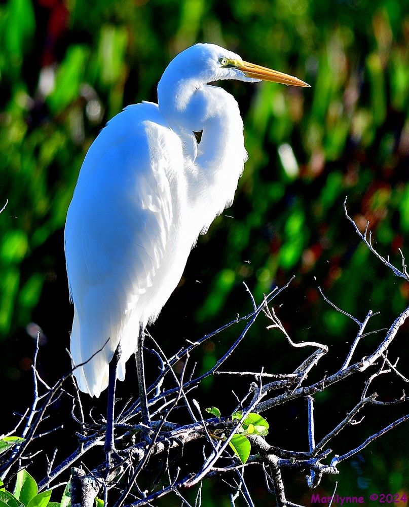 DSC_6173_001.JPG
