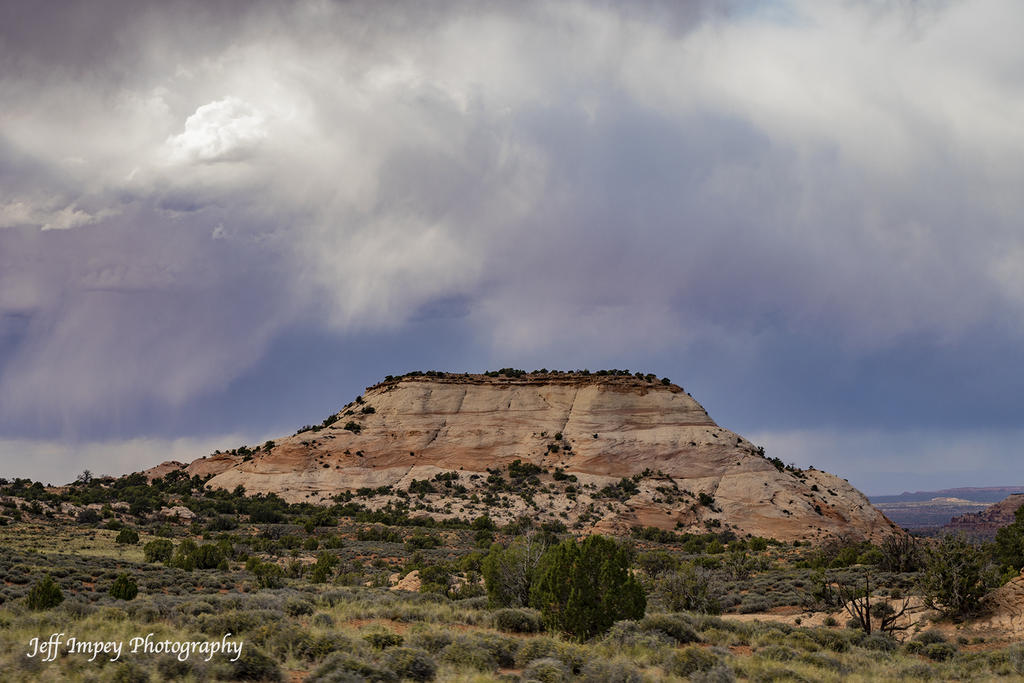 DSC_6174.jpg
