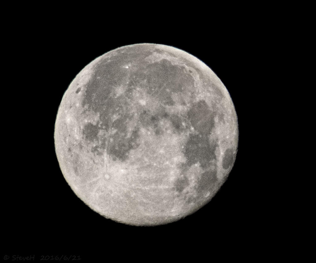 DSC_6176.jpg