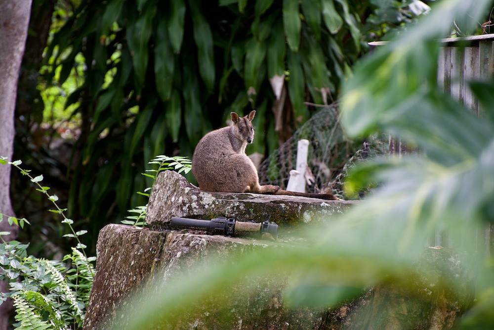 DSC_6179.jpg