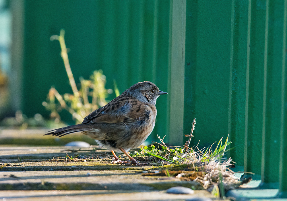 DSC_6180.jpg
