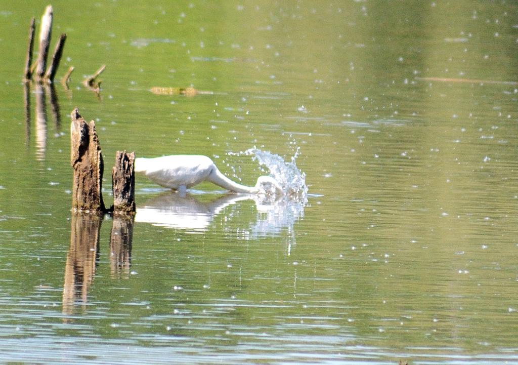 DSC_6183.jpg