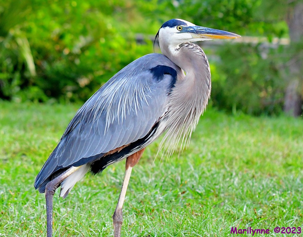 DSC_6187_001.JPG