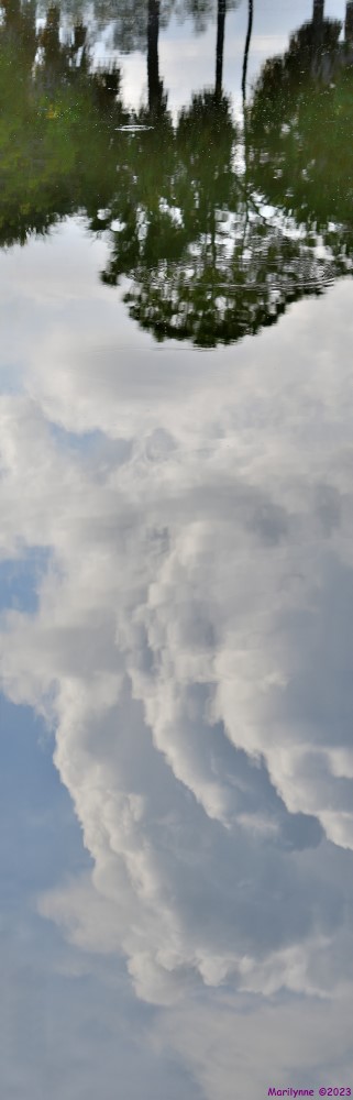 DSC_6188_stitch5_001.JPG