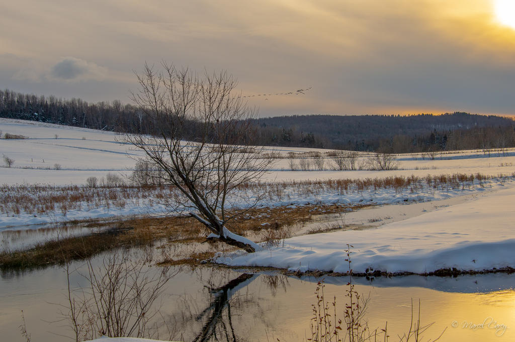 DSC_6191.jpg