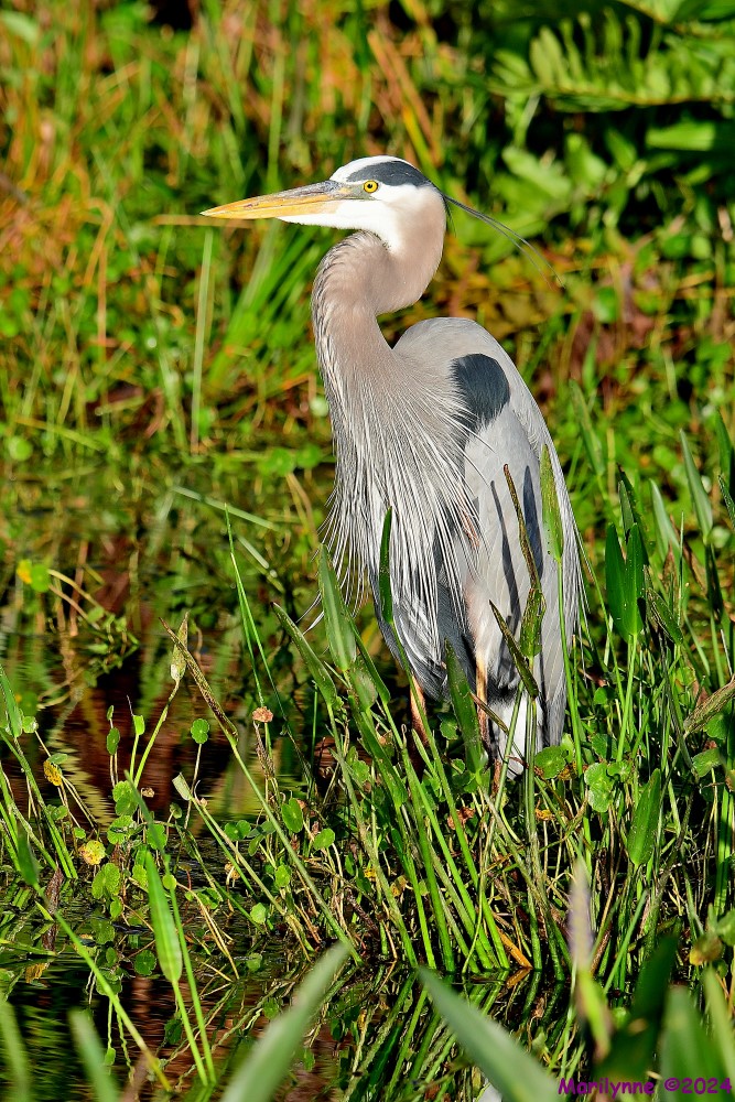 DSC_6194_001.JPG