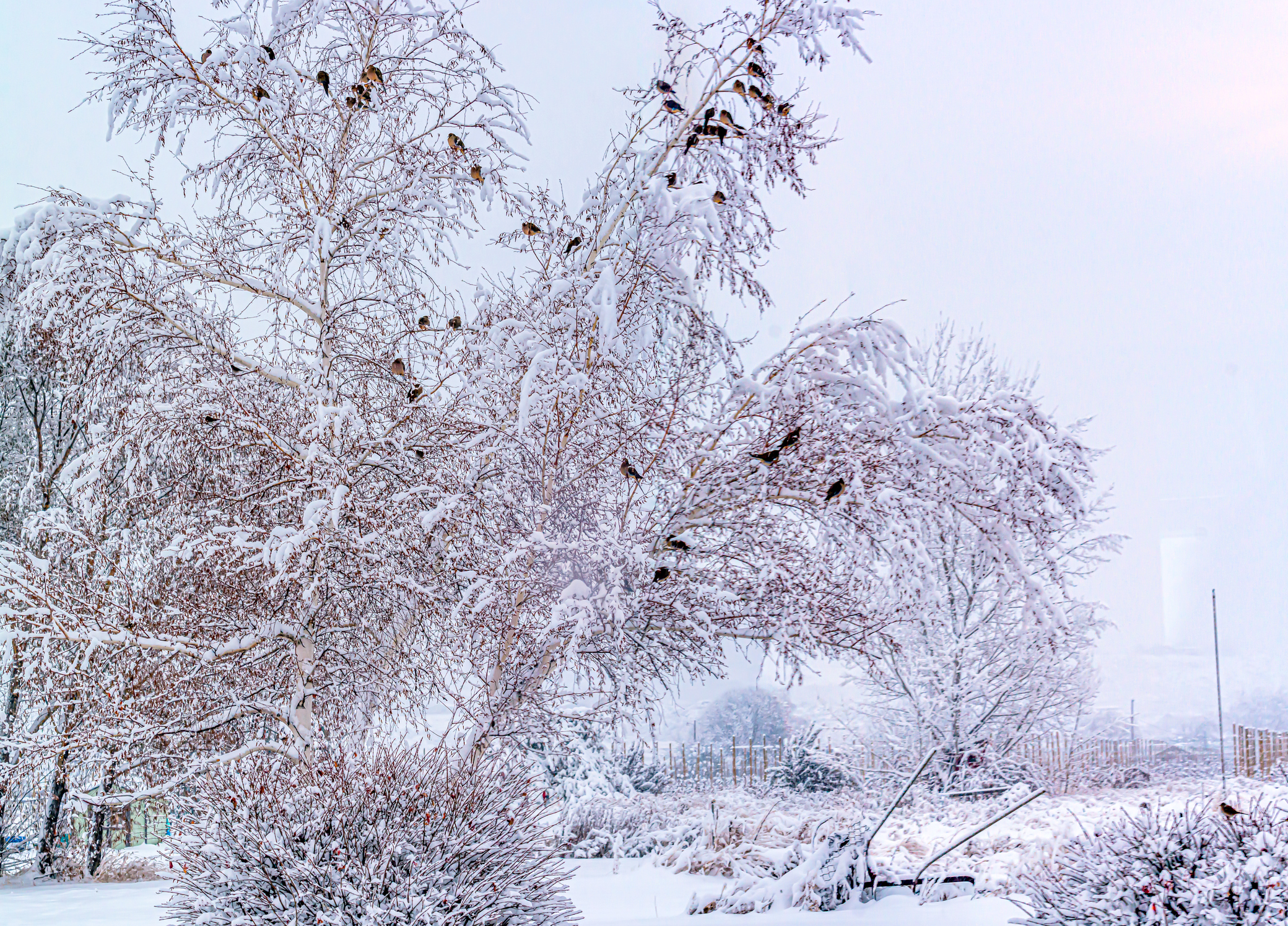 DSC_6199-Pano.JPG