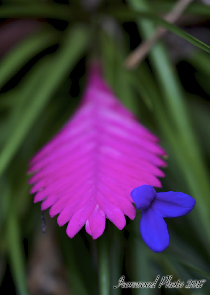DSC_6203.jpg