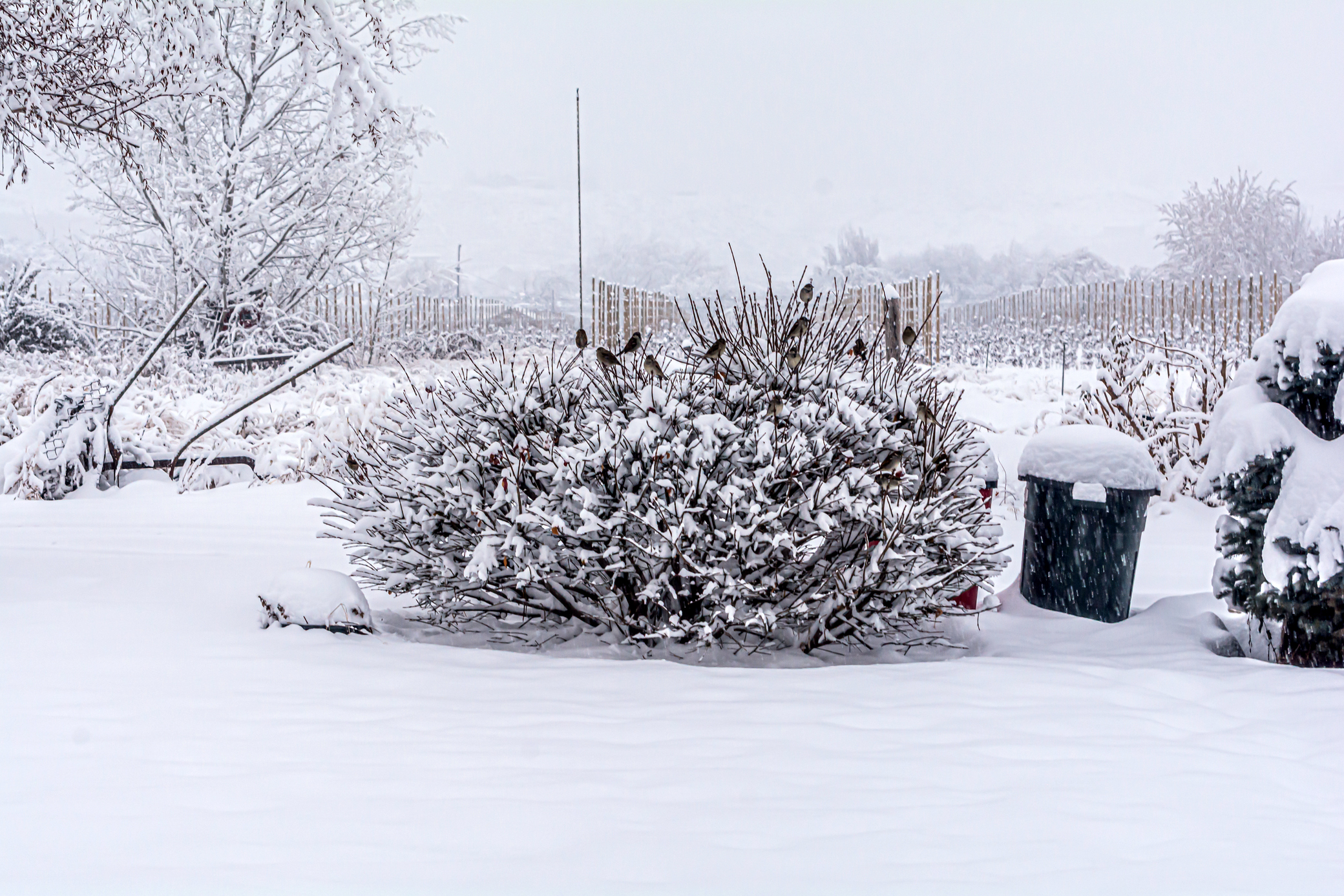 DSC_6204.JPG