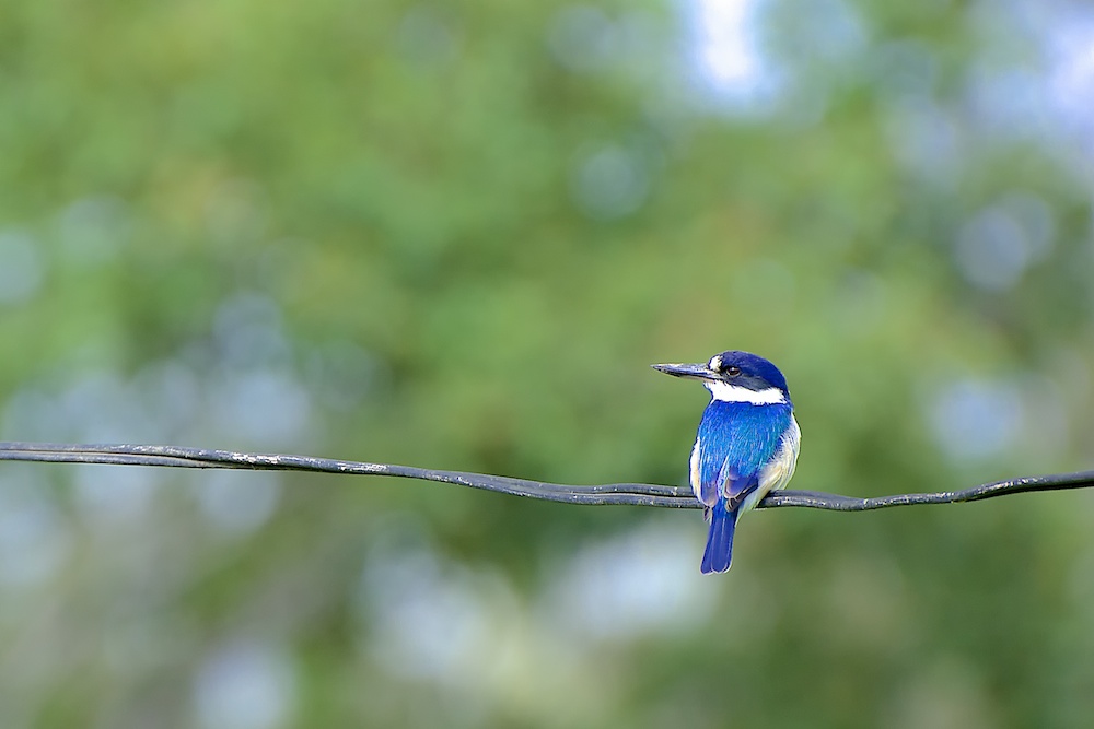 DSC_6207.jpg