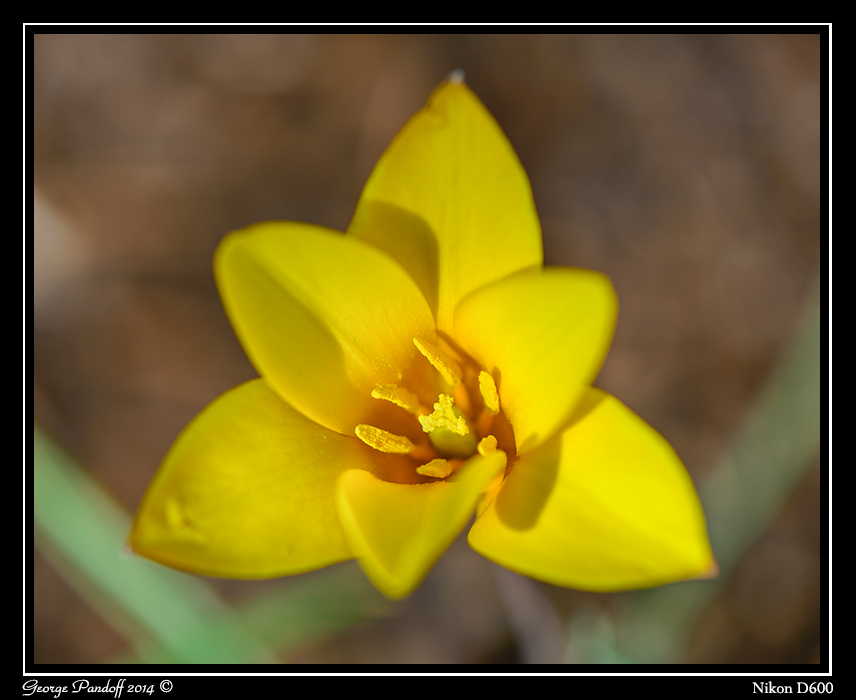 DSC_6208.jpg