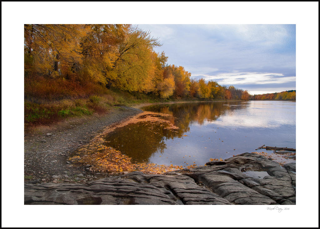 DSC_6209oil.jpg