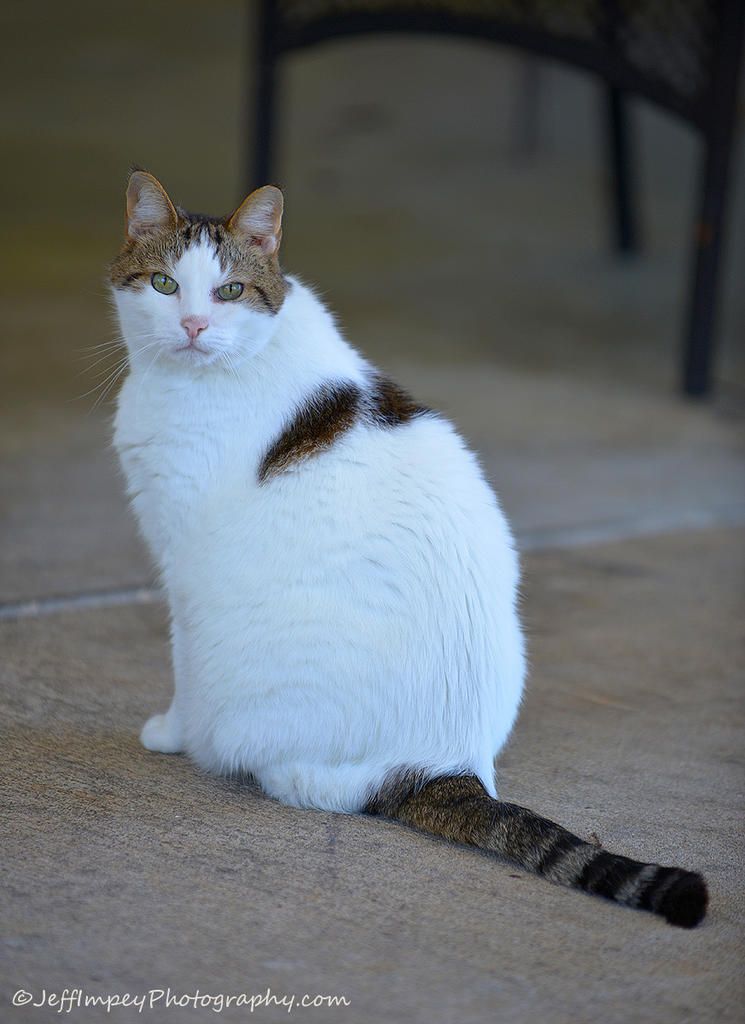 DSC_6213.jpg