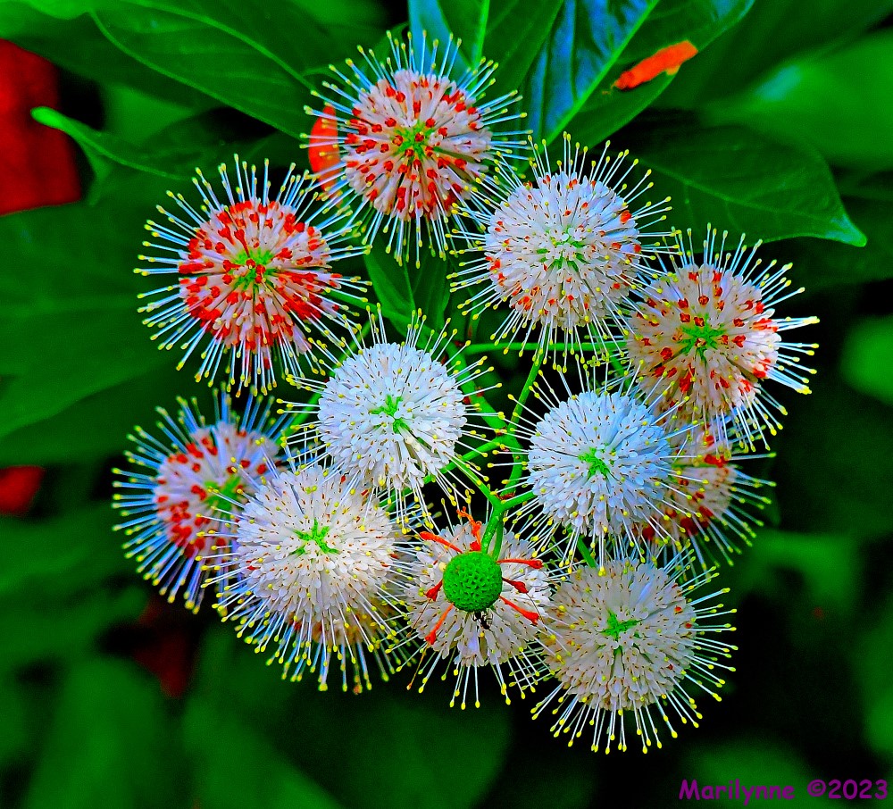 DSC_6216_001.JPG