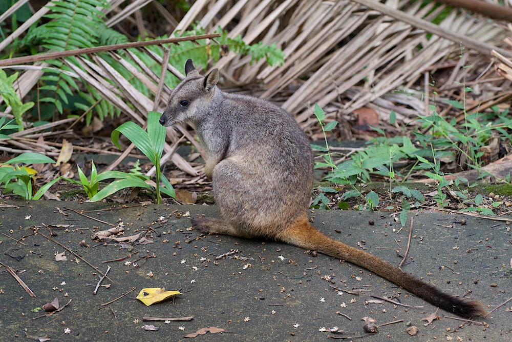 DSC_6220.jpg