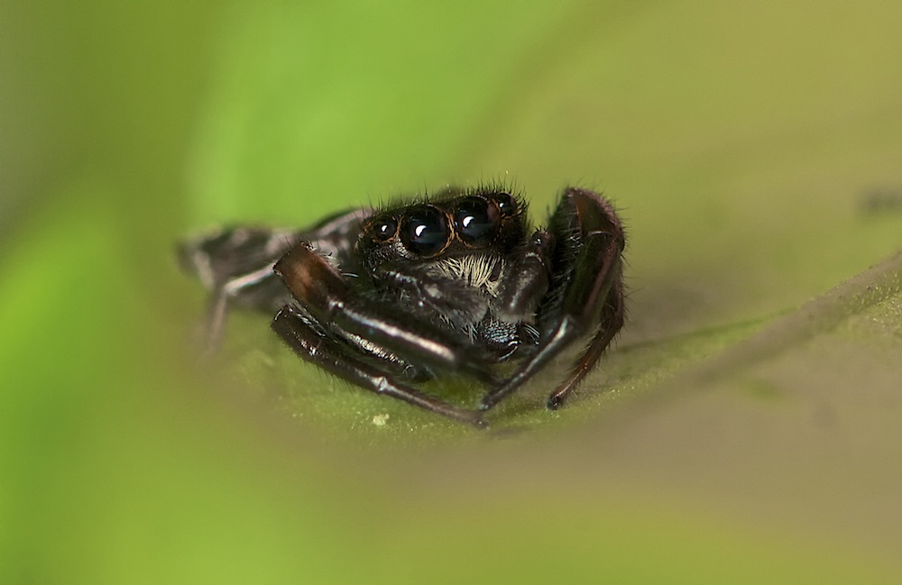 DSC_6225.jpg